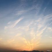 Jay01的个人资料头像