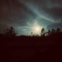 懵懂无知只怪太年少3头像