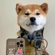 前端无涯的个人资料头像