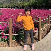 Pang6247头像