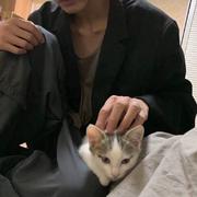 月光下的风的个人资料头像