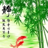 X花开富贵x头像