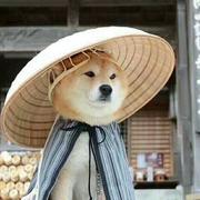 代码百晓生的个人资料头像