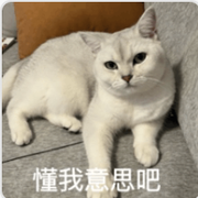 旺仔牛奶彩虹糖的个人资料头像