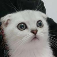 吴顺涛双向奔赴头像