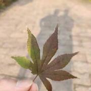 天地一线的个人资料头像