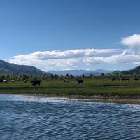 古蔡小旋风头像