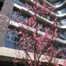 Tomcat那些事儿er的个人资料头像