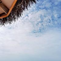 车厘子66888头像