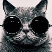 huchuanping的个人资料头像