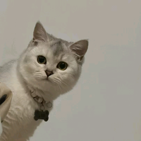 用户9778352114831头像