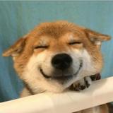 荻梦星航头像