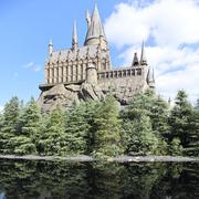 木木的世界的个人资料头像