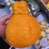 聪颖青山Mst头像
