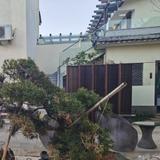 改变自己顶峰相见头像