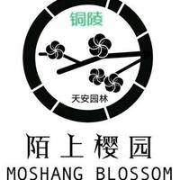 浙皖樱业头像