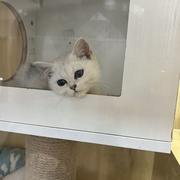 塞哇的个人资料头像