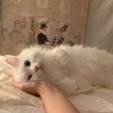 用户5673151605355头像