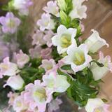 純粹打發時間头像