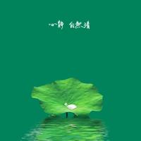 放荡不羁的木有头像