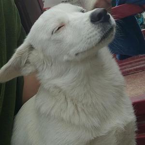 春风的孵化日常头像