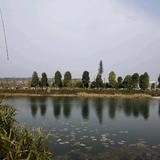 用户91381512头像