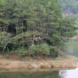 纵横捭阖头像
