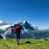 武汉星辰五福临门头像