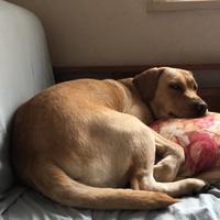 思想出了问题吧头像