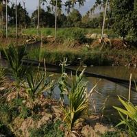 微微一笑表示敬意头像