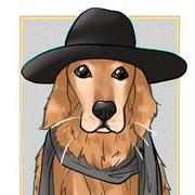 阿杰桑的个人资料头像