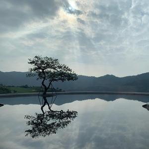 镜花水月头像