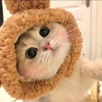 杨红霞236头像