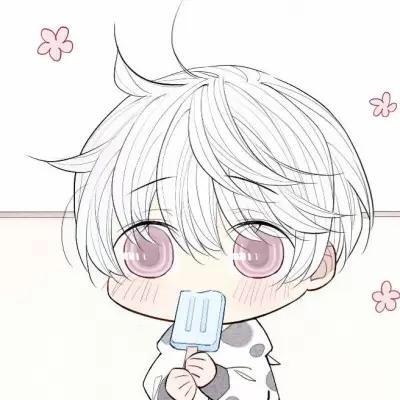 PASSATB5头像