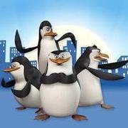 zdzhang的个人资料头像