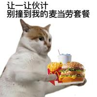 柴木座义辉头像