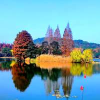 武汉佳鑫一帆科技有限公司头像