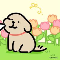 卿卿也是青青18头像