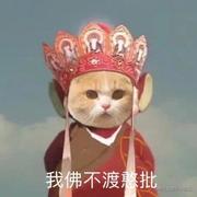 素手青条的个人资料头像