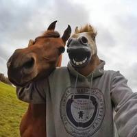 我是无敌破坏王221头像