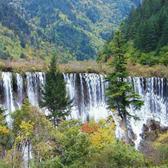 水风井011010头像