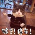 y益达吃两粒头像