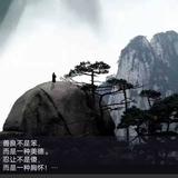 知而获智545头像