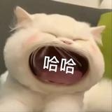 左凌丶头像