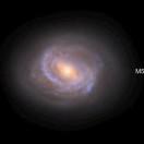 liubaojun的个人资料头像