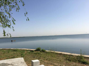 娟酱的个人资料头像