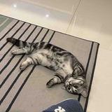 Vkkan头像