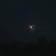 荇丶的个人资料头像