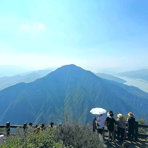 铲史官头像