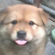 森新的个人资料头像